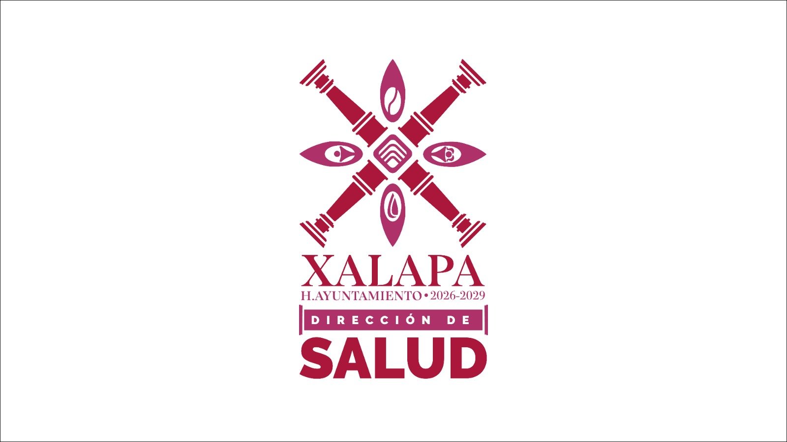 Xalapa, sin daños mayores por Frente Frío