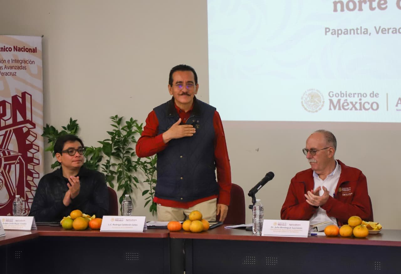 SADER y Sedarpa anuncian Plan para recuperar la citricultura en la zona norte