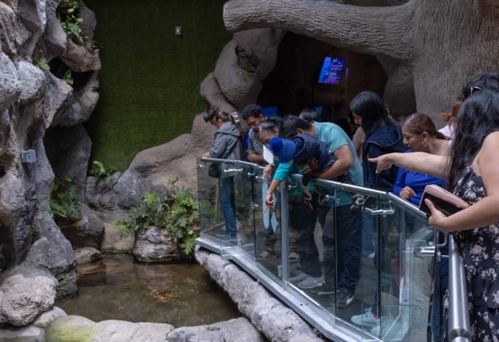 Por Carnaval de Veracruz tendrá Aquarium horario especial del 14 al 17 de febrero