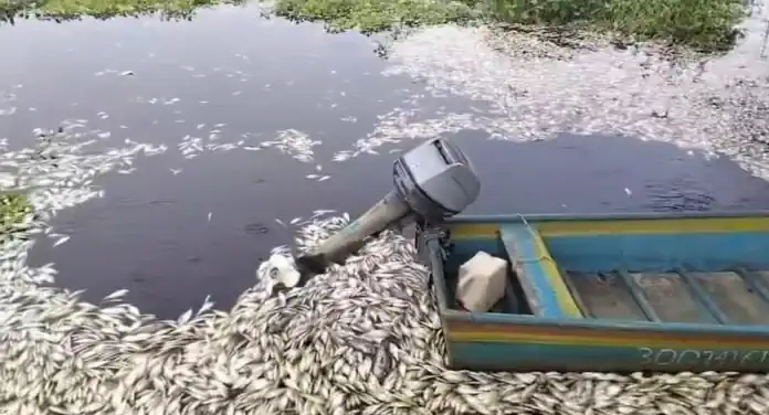 Autoridades alistan dictamen final sobre daño ambiental en el Papaloapan