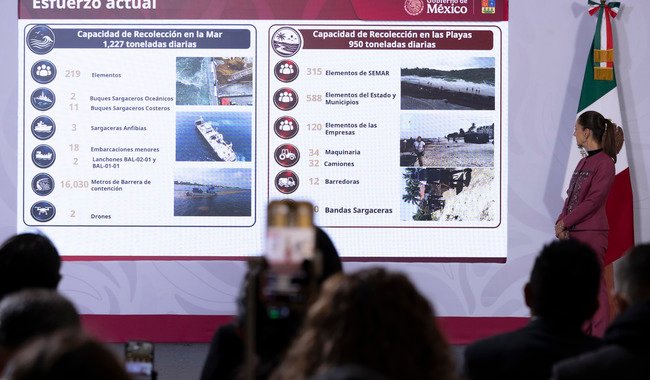 Gobierno de México destina 2 mil mdp a la estrategia de atención y manejo del sargazo en Quintana Roo: presidenta Claudia Sheinbaum